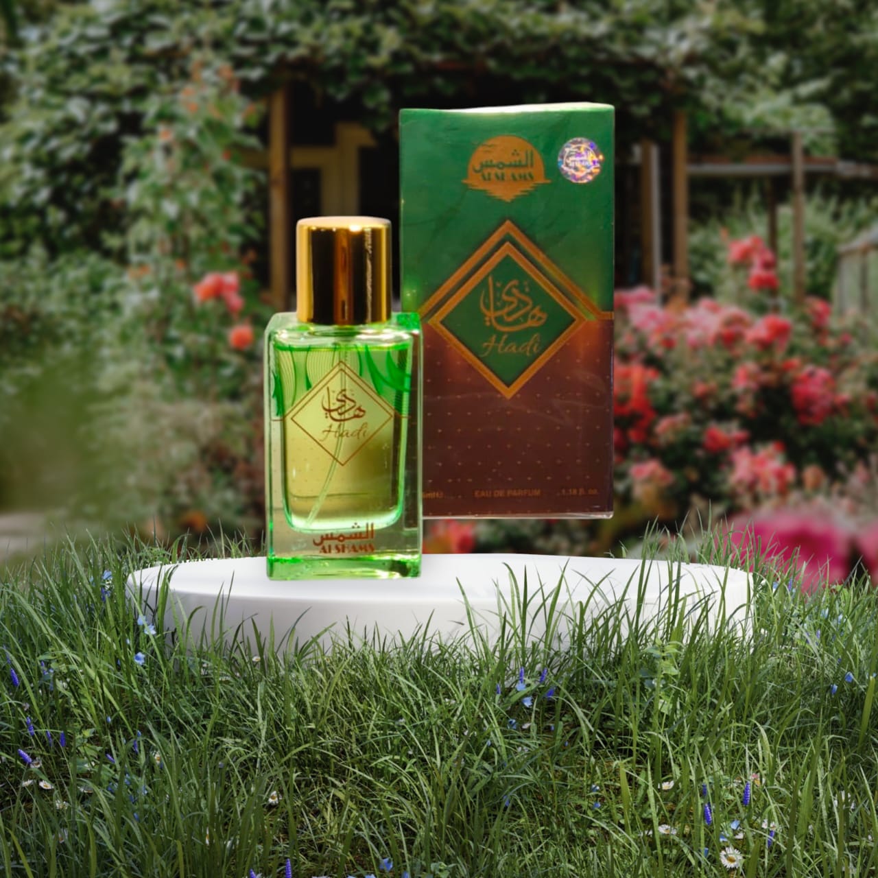 whatsapp image 2026 01 13 at 7.00.00 pm (2)